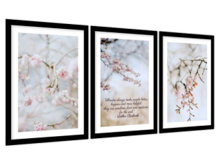Obraz v ráme Kvitnúca višňa