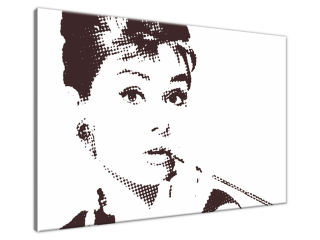 Obraz na stenu Audrey Hepburn